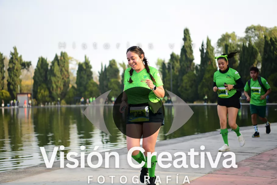 Foto del evento Shrek - CDMX 2026