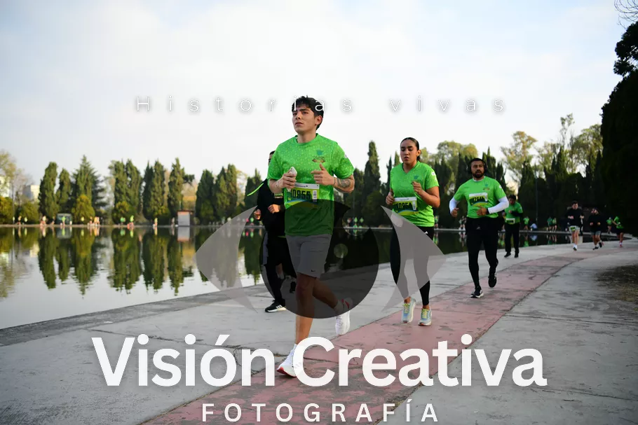 Foto del evento Shrek - CDMX 2026