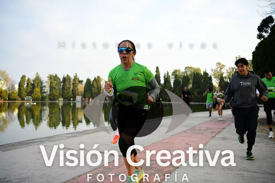 Foto del evento Shrek - CDMX 2026