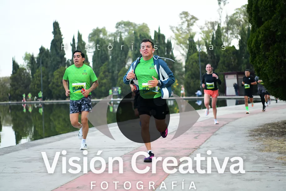 Foto del evento Shrek - CDMX 2026