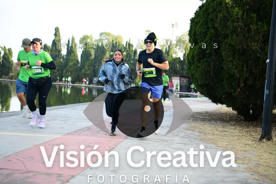 Foto del evento Shrek - CDMX 2026