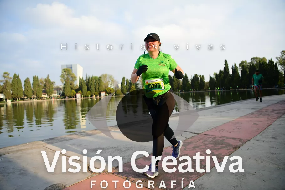 Foto del evento Shrek - CDMX 2026