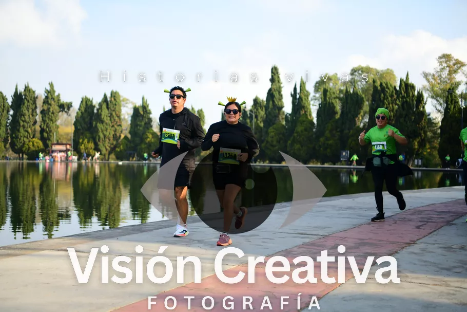 Foto del evento Shrek - CDMX 2026