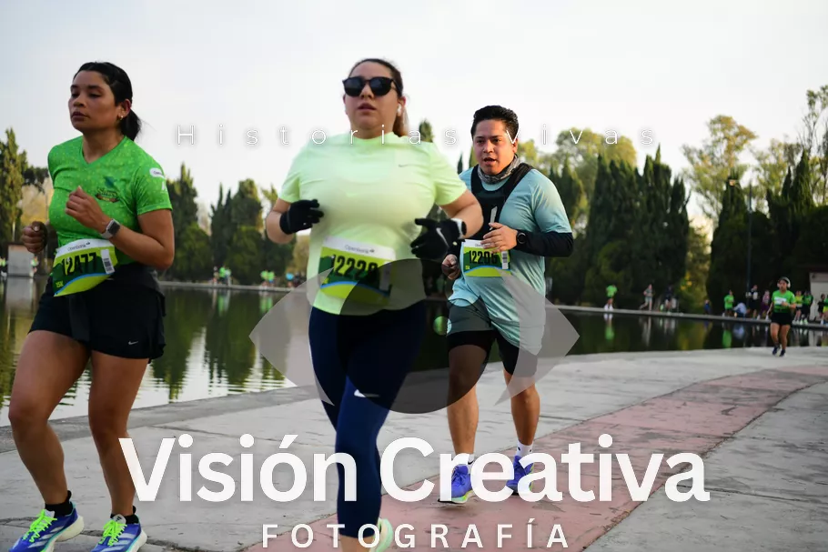 Foto del evento Shrek - CDMX 2026