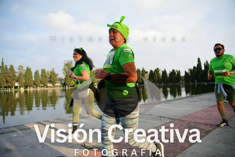 Foto del evento Shrek - CDMX 2026