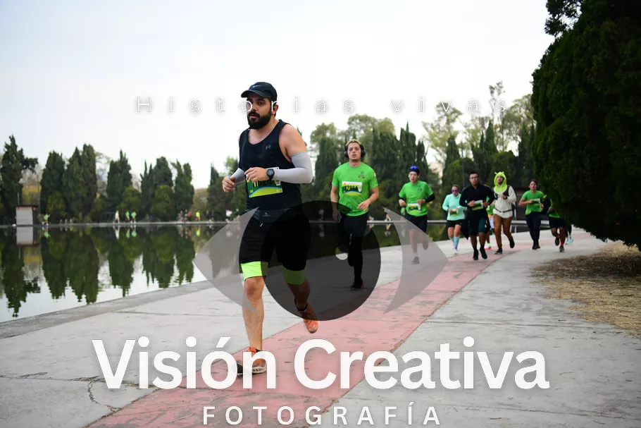 Foto del evento Shrek - CDMX 2026