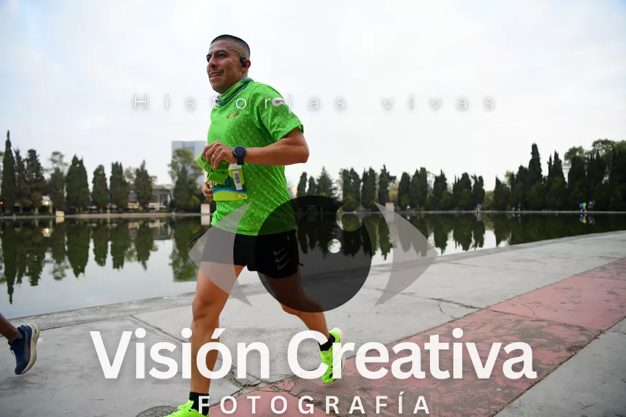 Foto del evento Shrek - CDMX 2026