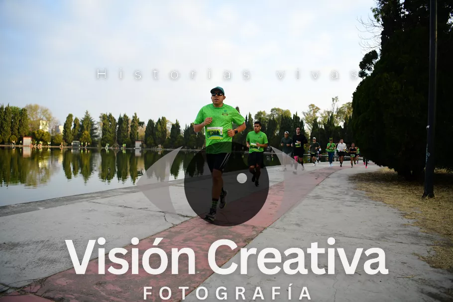 Foto del evento Shrek - CDMX 2026