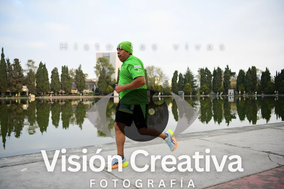 Foto del evento Shrek - CDMX 2026