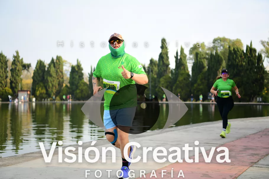 Foto del evento Shrek - CDMX 2026