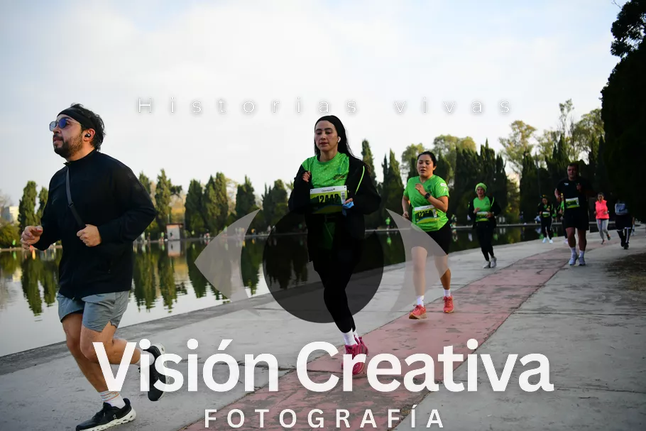Foto del evento Shrek - CDMX 2026