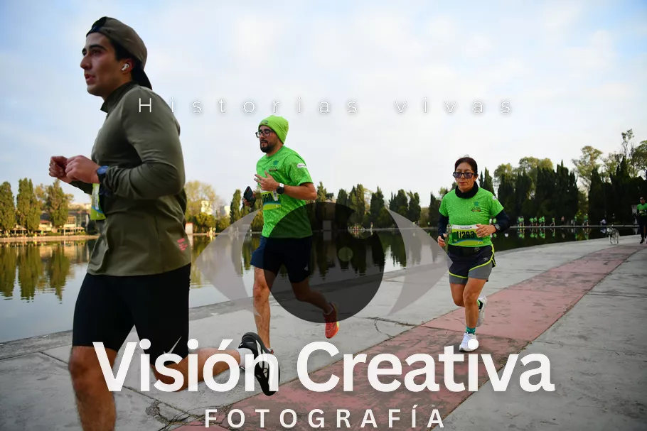 Foto del evento Shrek - CDMX 2026