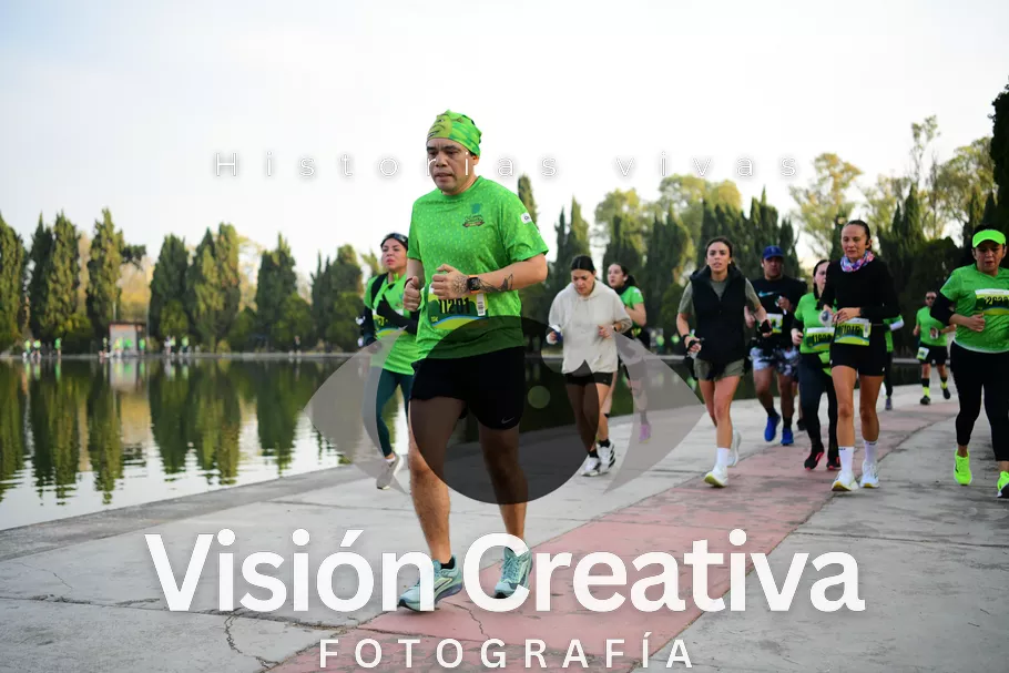 Foto del evento Shrek - CDMX 2026