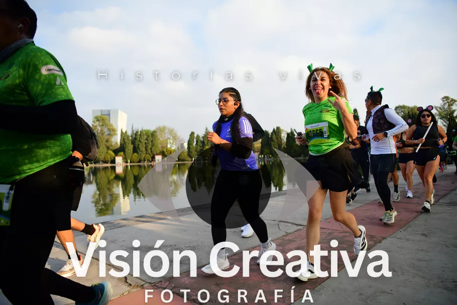 Foto del evento Shrek - CDMX 2026