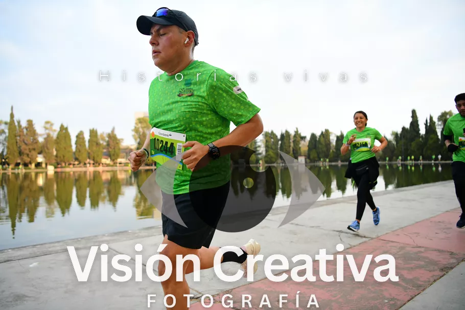 Foto del evento Shrek - CDMX 2026