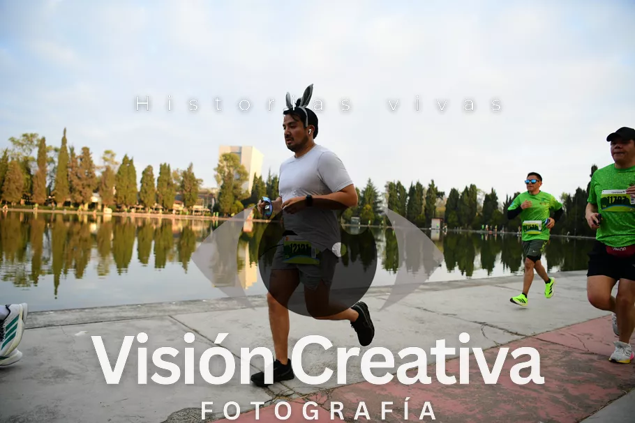 Foto del evento Shrek - CDMX 2026