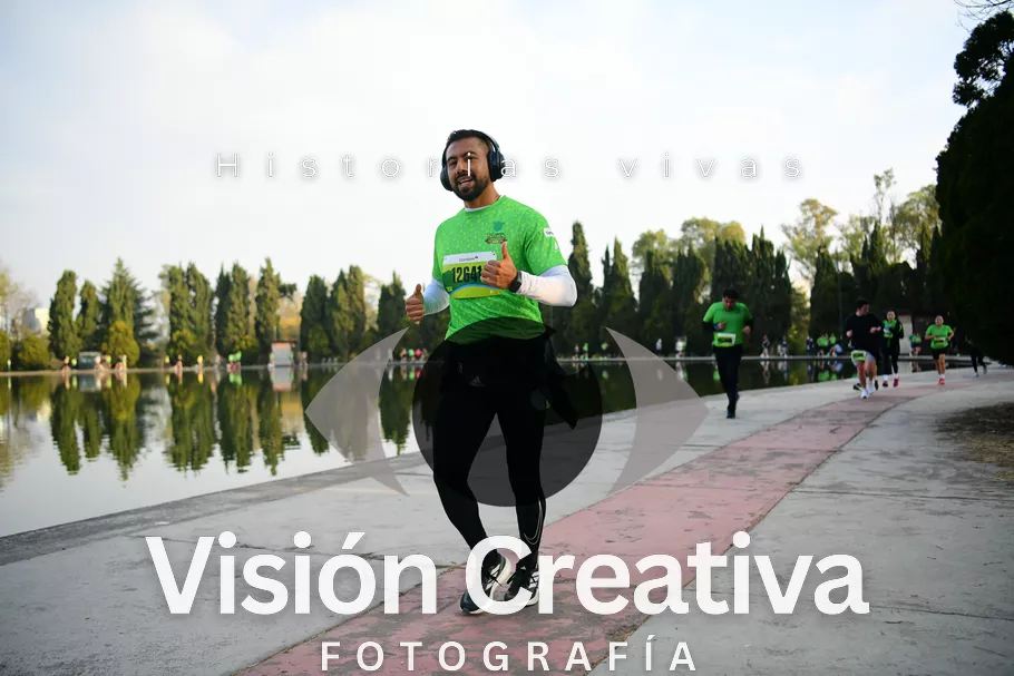 Foto del evento Shrek - CDMX 2026