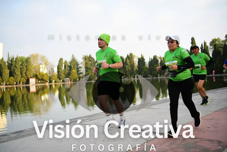 Foto del evento Shrek - CDMX 2026