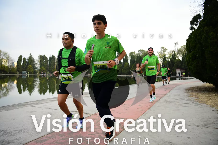 Foto del evento Shrek - CDMX 2026