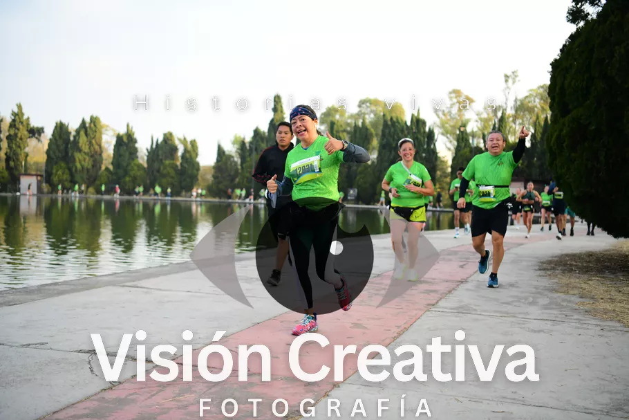 Foto del evento Shrek - CDMX 2026