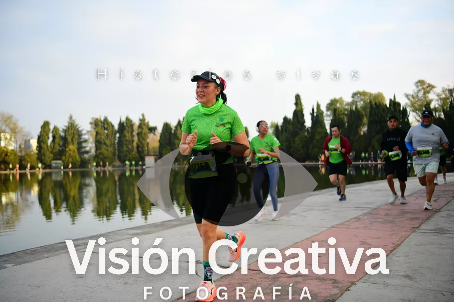 Foto del evento Shrek - CDMX 2026