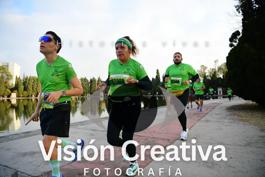 Foto del evento Shrek - CDMX 2026