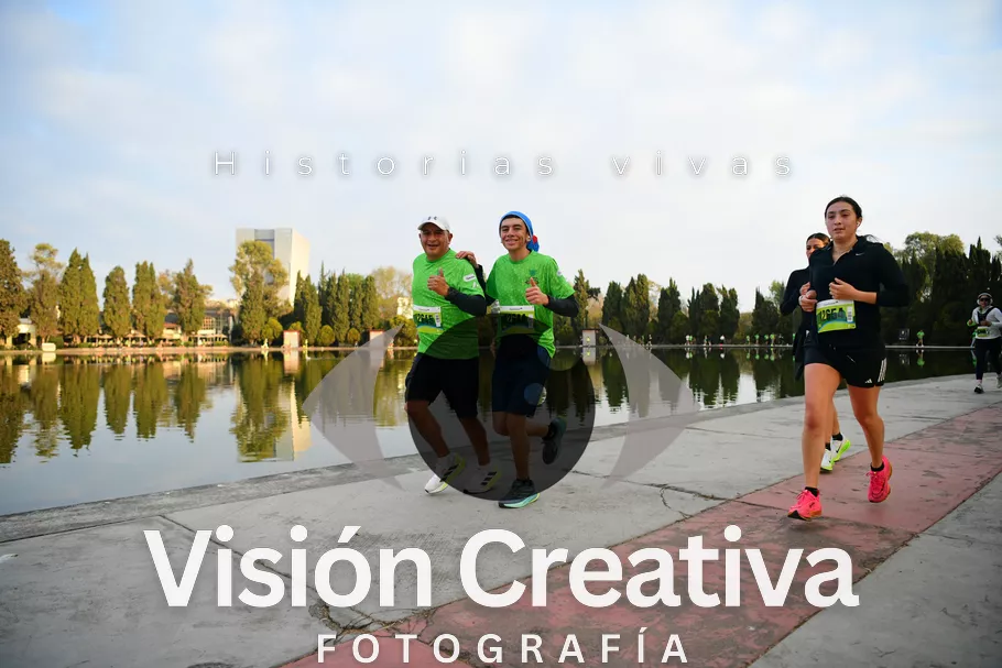Foto del evento Shrek - CDMX 2026