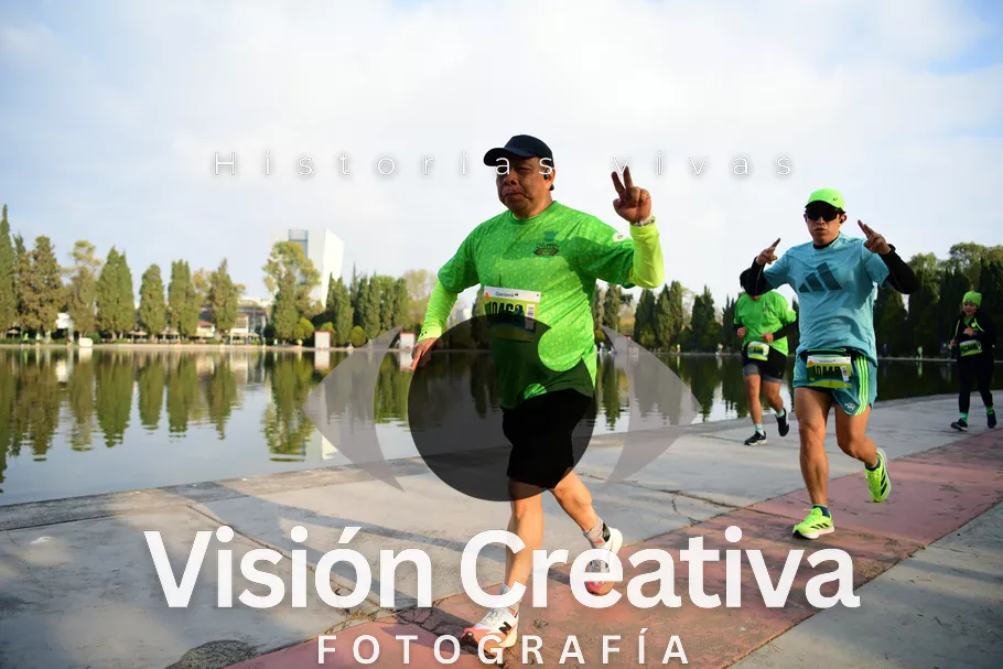 Foto del evento Shrek - CDMX 2026