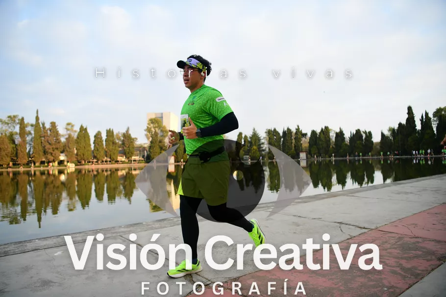 Foto del evento Shrek - CDMX 2026