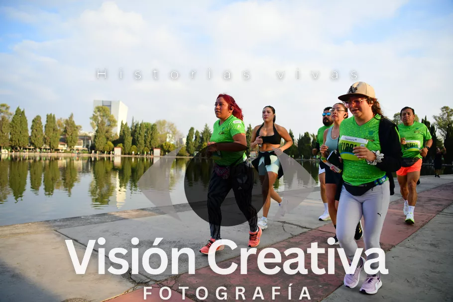 Foto del evento Shrek - CDMX 2026