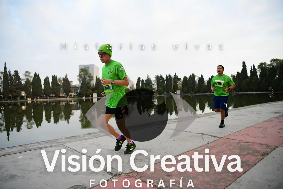 Foto del evento Shrek - CDMX 2026