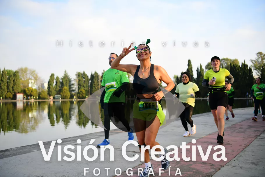 Foto del evento Shrek - CDMX 2026
