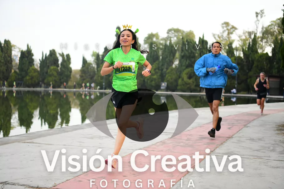Foto del evento Shrek - CDMX 2026