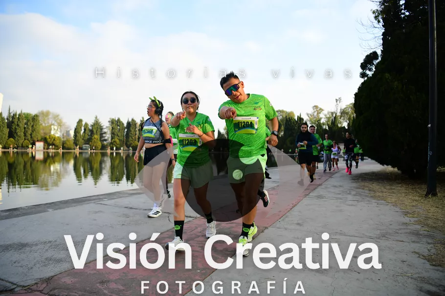 Foto del evento Shrek - CDMX 2026