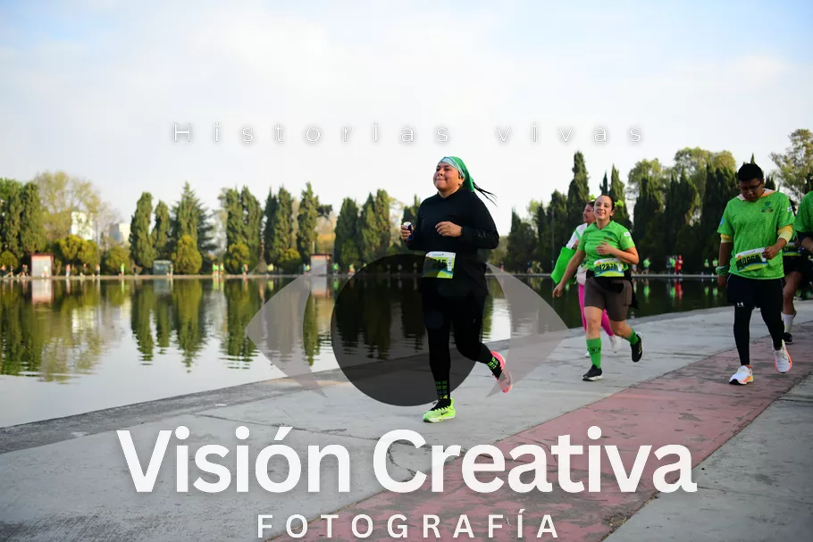 Foto del evento Shrek - CDMX 2026