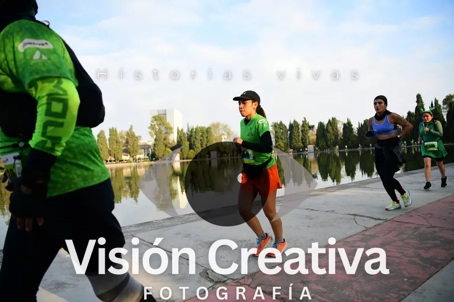 Foto del evento Shrek - CDMX 2026