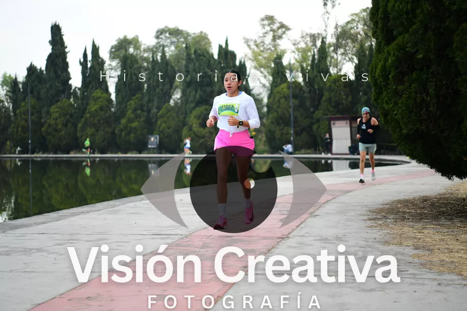Foto del evento Shrek - CDMX 2026