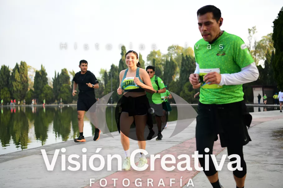 Foto del evento Shrek - CDMX 2026
