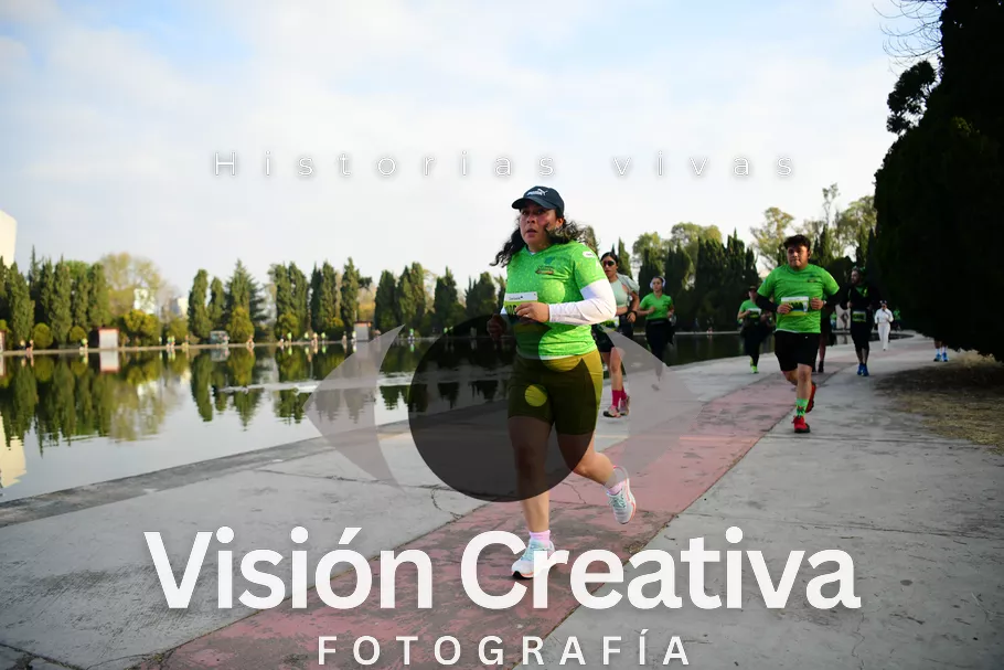 Foto del evento Shrek - CDMX 2026