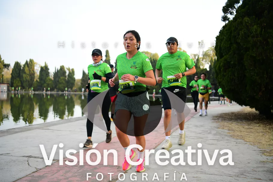 Foto del evento Shrek - CDMX 2026