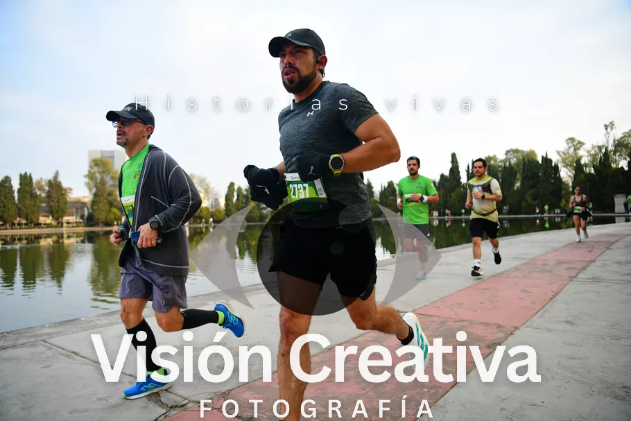 Foto del evento Shrek - CDMX 2026