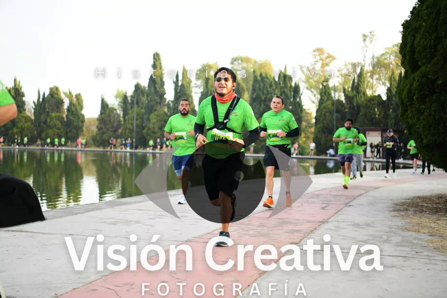 Foto del evento Shrek - CDMX 2026