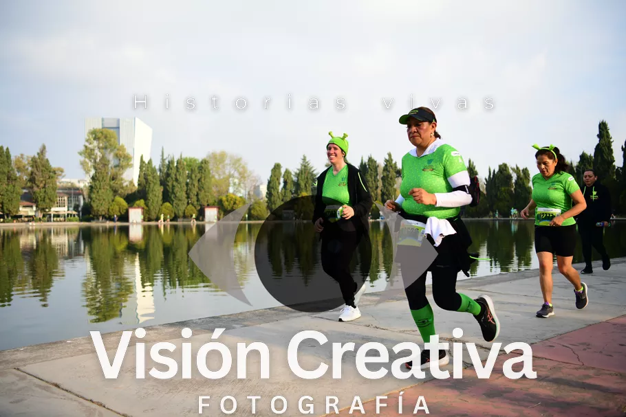 Foto del evento Shrek - CDMX 2026