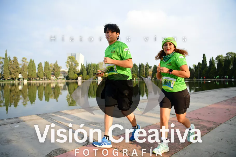 Foto del evento Shrek - CDMX 2026