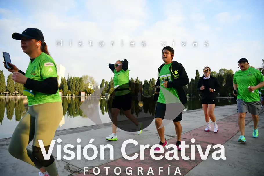 Foto del evento Shrek - CDMX 2026