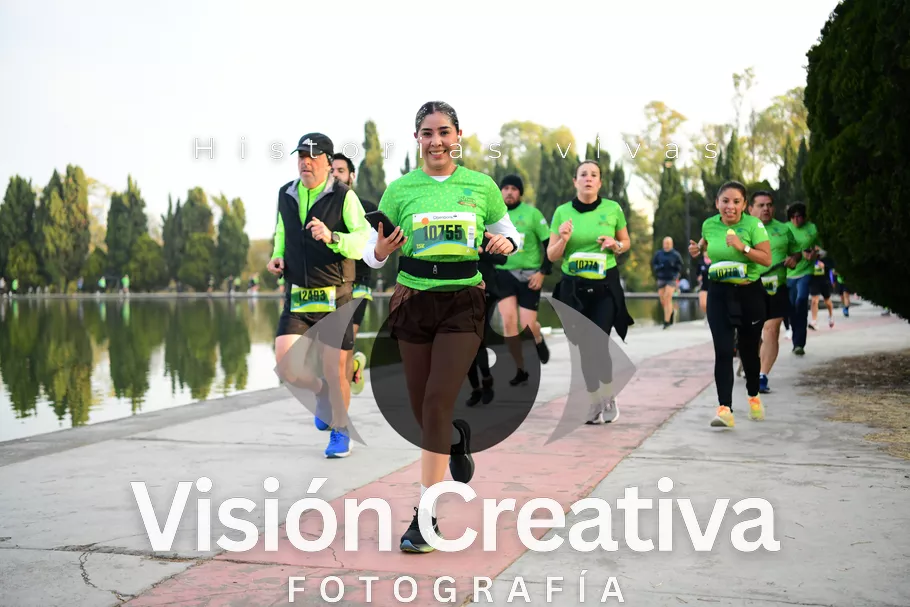 Foto del evento Shrek - CDMX 2026