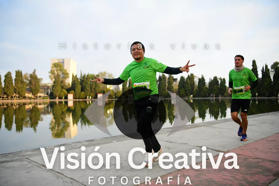 Foto del evento Shrek - CDMX 2026