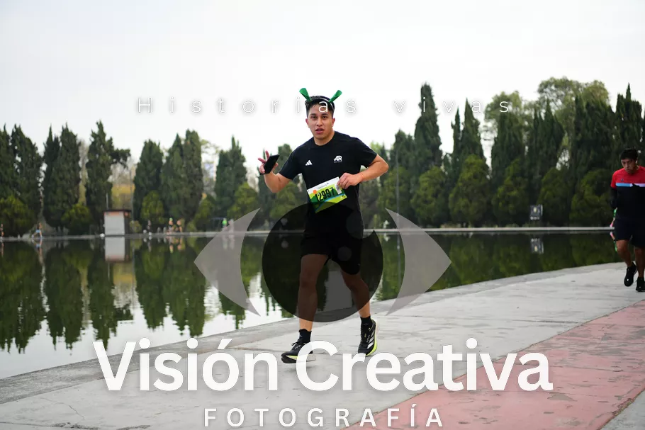 Foto del evento Shrek - CDMX 2026