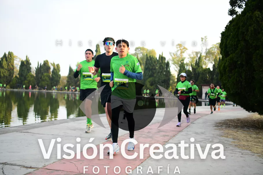Foto del evento Shrek - CDMX 2026