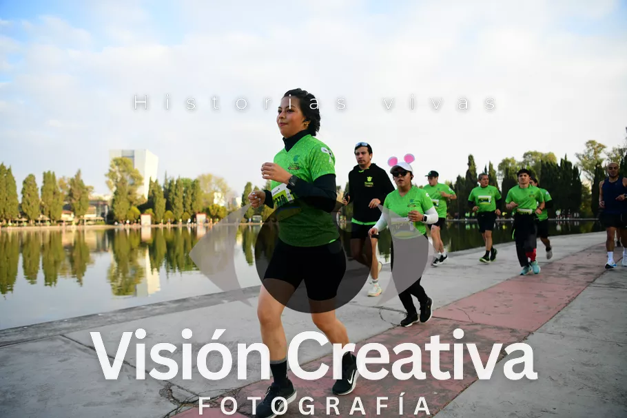 Foto del evento Shrek - CDMX 2026